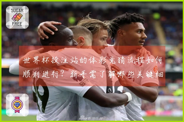世界杯投注站的体彩竞猜流程如何顺利进行？新手需了解哪些关键细节？