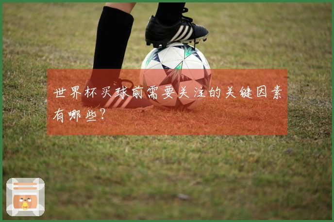 世界杯买球前需要关注的关键因素有哪些？