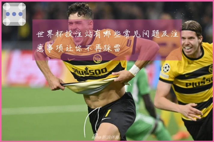 世界杯投注站有哪些常见问题及注意事项让你不再踩雷
