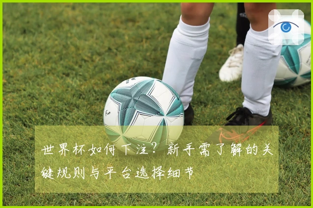 世界杯如何下注？新手需了解的关键规则与平台选择细节