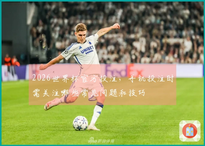 2026世界杯官方投注，手机投注时需关注哪些常见问题和技巧