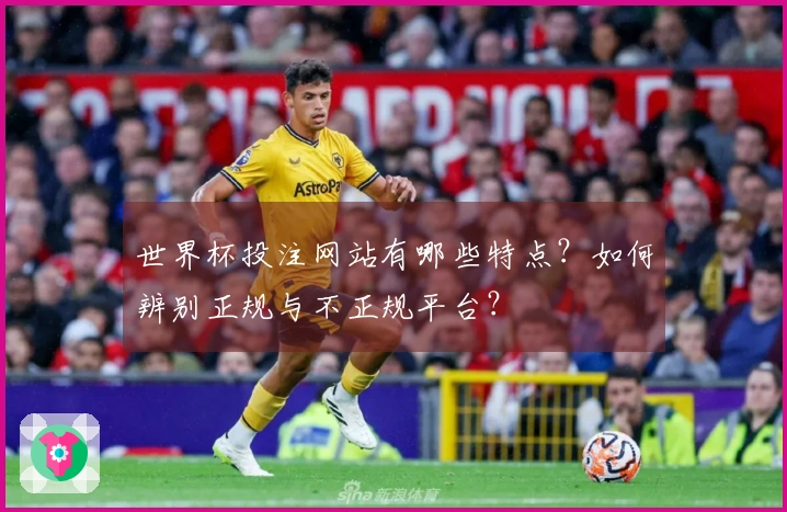 世界杯投注网站有哪些特点？如何辨别正规与不正规平台？