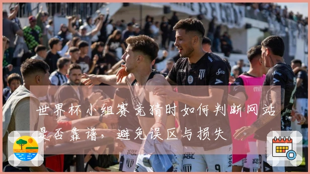 世界杯小组赛竞猜时如何判断网站是否靠谱，避免误区与损失
