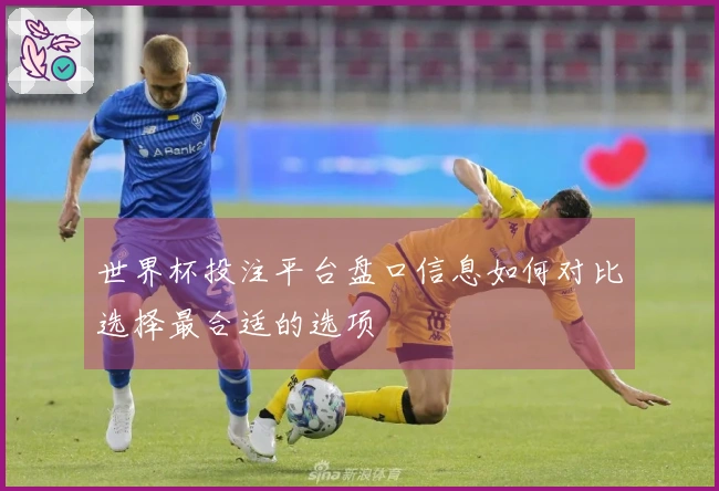 世界杯投注平台盘口信息如何对比选择最合适的选项