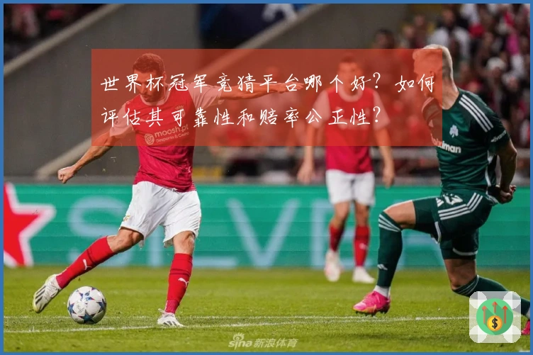 世界杯冠军竞猜平台哪个好？如何评估其可靠性和赔率公正性？