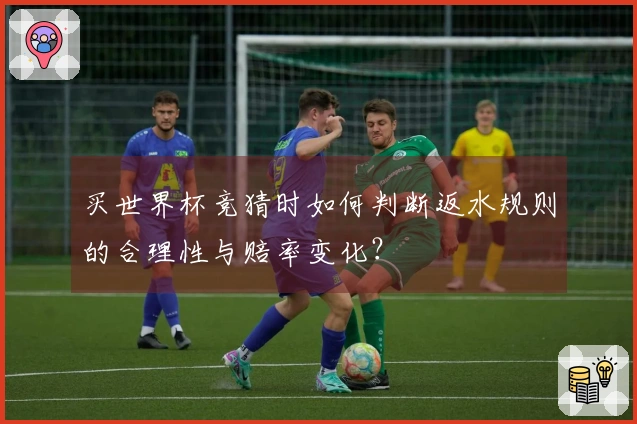 买世界杯竞猜时如何判断返水规则的合理性与赔率变化？