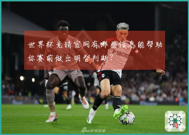 世界杯竞猜官网有哪些信息能帮助你赛前做出明智判断？
