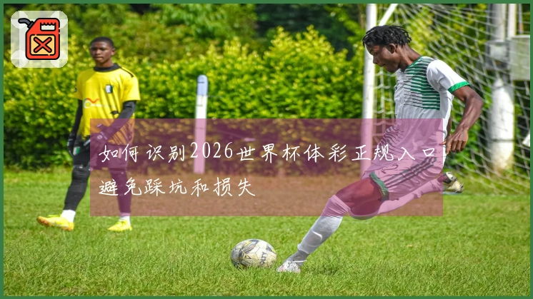如何识别2026世界杯体彩正规入口避免踩坑和损失