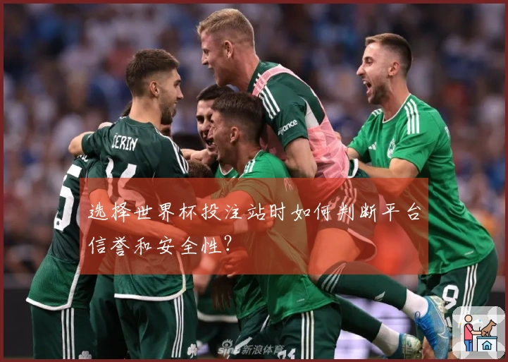 选择世界杯投注站时如何判断平台信誉和安全性？