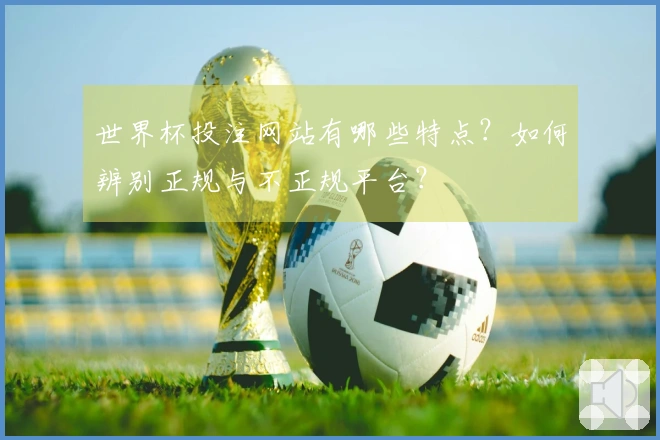 世界杯投注网站有哪些特点？如何辨别正规与不正规平台？