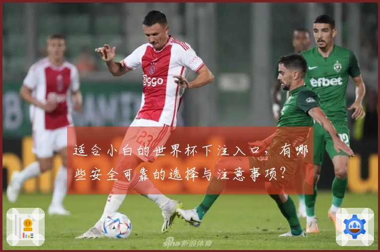 适合小白的世界杯下注入口，有哪些安全可靠的选择与注意事项？