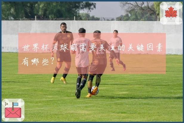 世界杯买球前需要关注的关键因素有哪些？