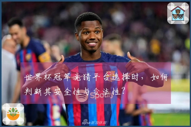 世界杯冠军竞猜平台选择时，如何判断其安全性与合法性？