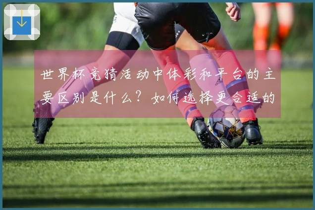 世界杯竞猜活动中体彩和平台的主要区别是什么？如何选择更合适的下注方式？