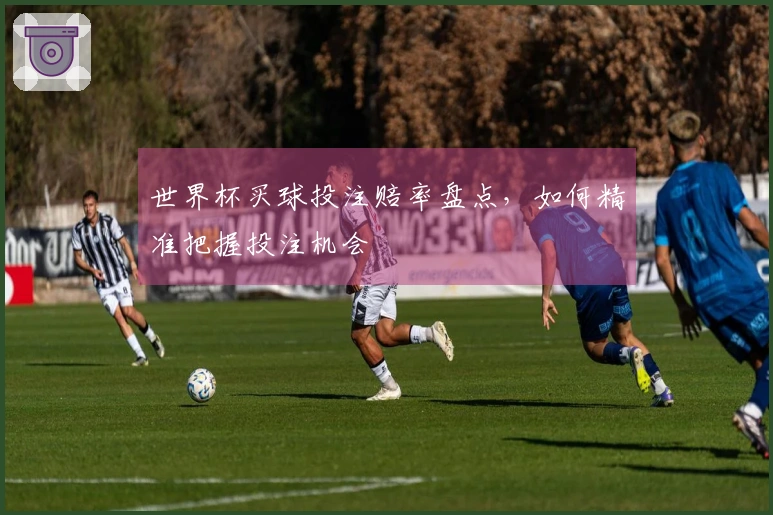 世界杯买球投注赔率盘点，如何精准把握投注机会