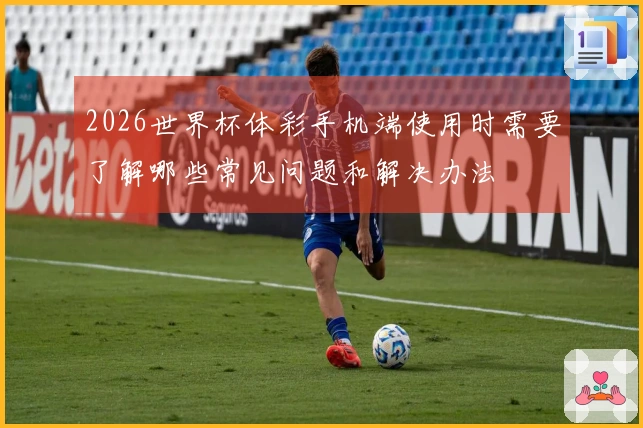 2026世界杯体彩手机端使用时需要了解哪些常见问题和解决办法