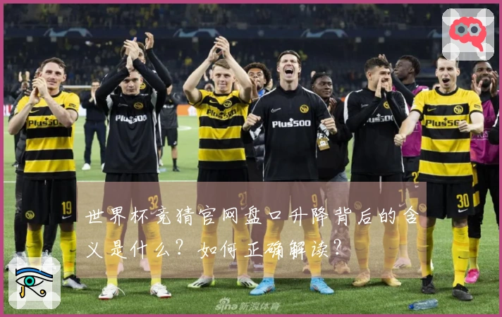 世界杯竞猜官网盘口升降背后的含义是什么？如何正确解读？