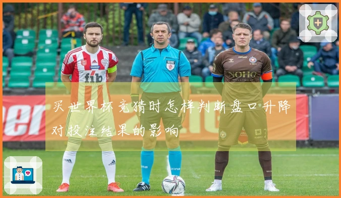 买世界杯竞猜时怎样判断盘口升降对投注结果的影响