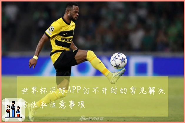 世界杯买球APP打不开时的常见解决方法和注意事项