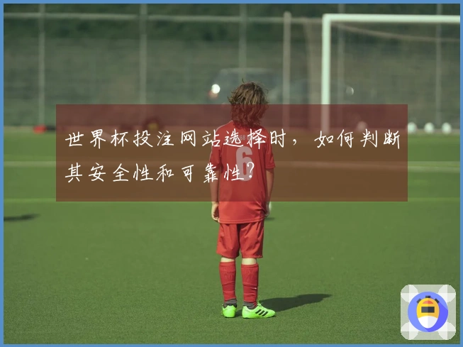 世界杯投注网站选择时，如何判断其安全性和可靠性？