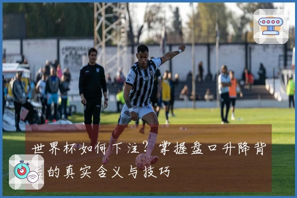 世界杯如何下注？掌握盘口升降背后的真实含义与技巧