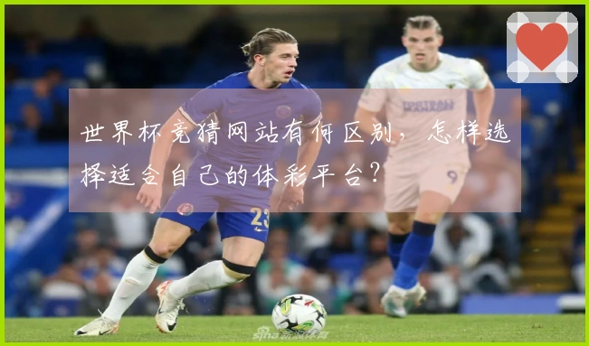 世界杯竞猜网站有何区别，怎样选择适合自己的体彩平台？