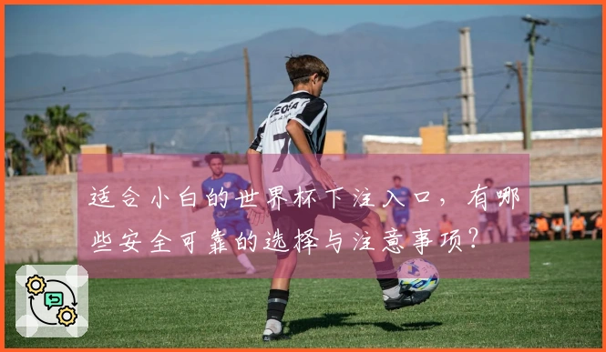 适合小白的世界杯下注入口，有哪些安全可靠的选择与注意事项？