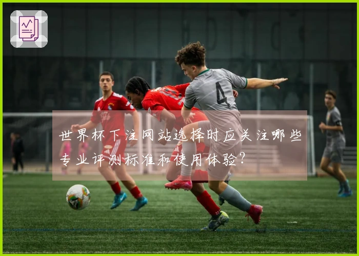 世界杯下注网站选择时应关注哪些专业评测标准和使用体验？