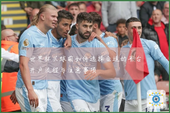 世界杯买球前如何选择合适的平台开户流程与注意事项
