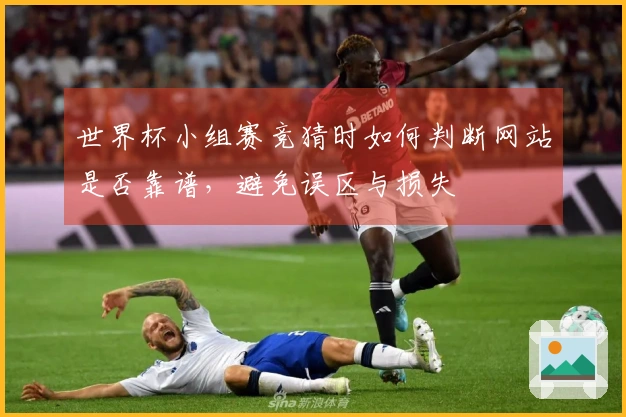 世界杯小组赛竞猜时如何判断网站是否靠谱，避免误区与损失