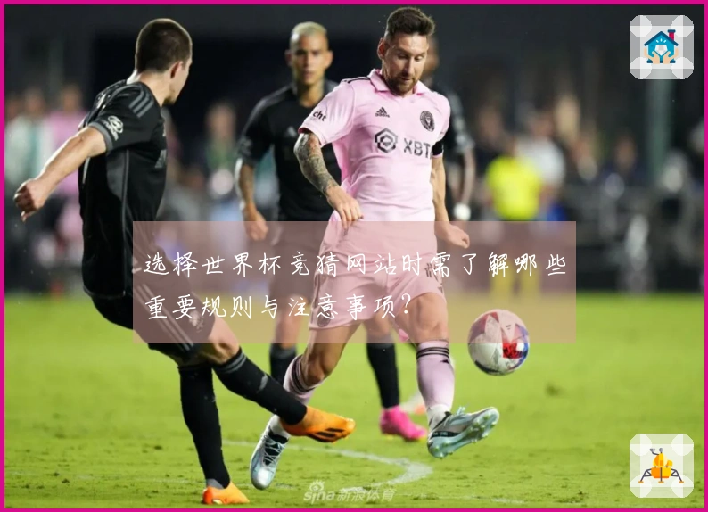 选择世界杯竞猜网站时需了解哪些重要规则与注意事项？