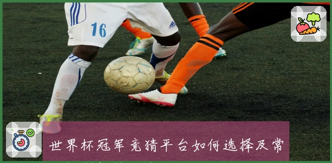 世界杯冠军竞猜平台如何选择及常见问题解答指南