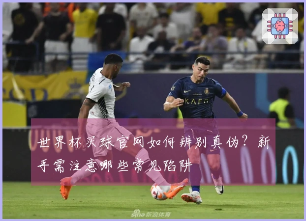 世界杯买球官网如何辨别真伪？新手需注意哪些常见陷阱