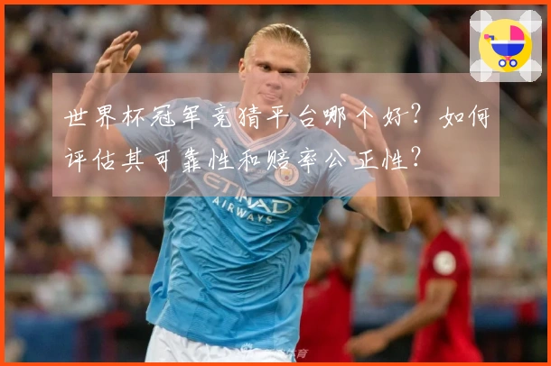 世界杯冠军竞猜平台哪个好？如何评估其可靠性和赔率公正性？