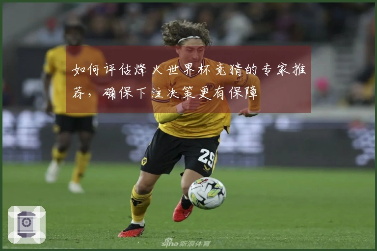 如何评估烽火世界杯竞猜的专家推荐，确保下注决策更有保障