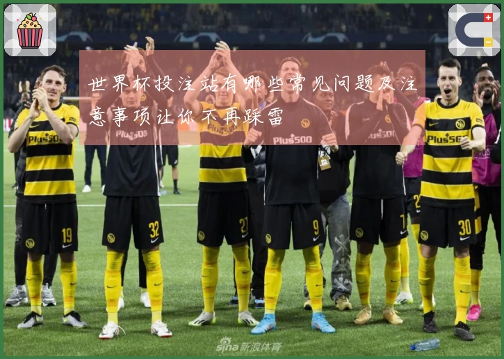 世界杯投注站有哪些常见问题及注意事项让你不再踩雷