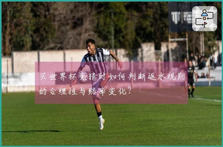 买世界杯竞猜时如何判断返水规则的合理性与赔率变化？